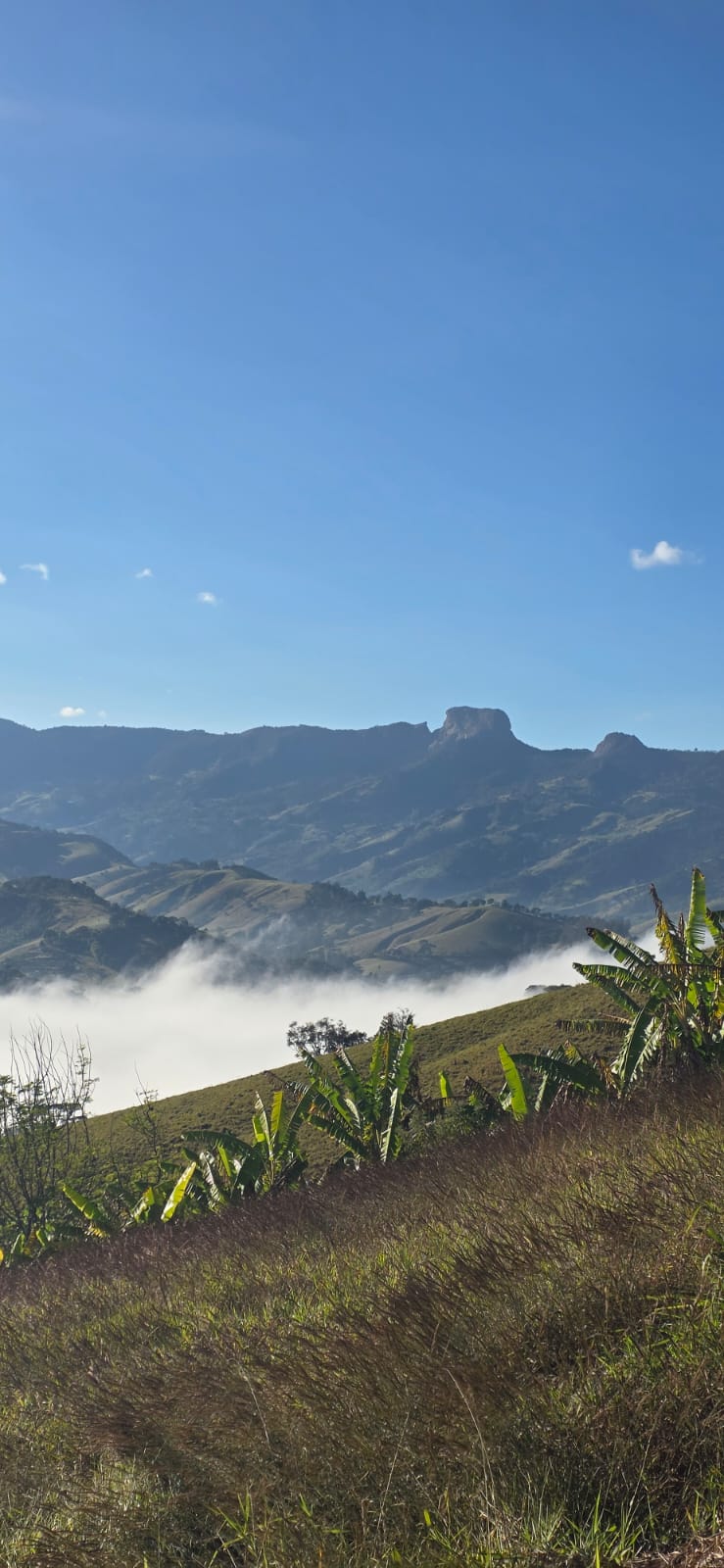 Mirante da Dilinha